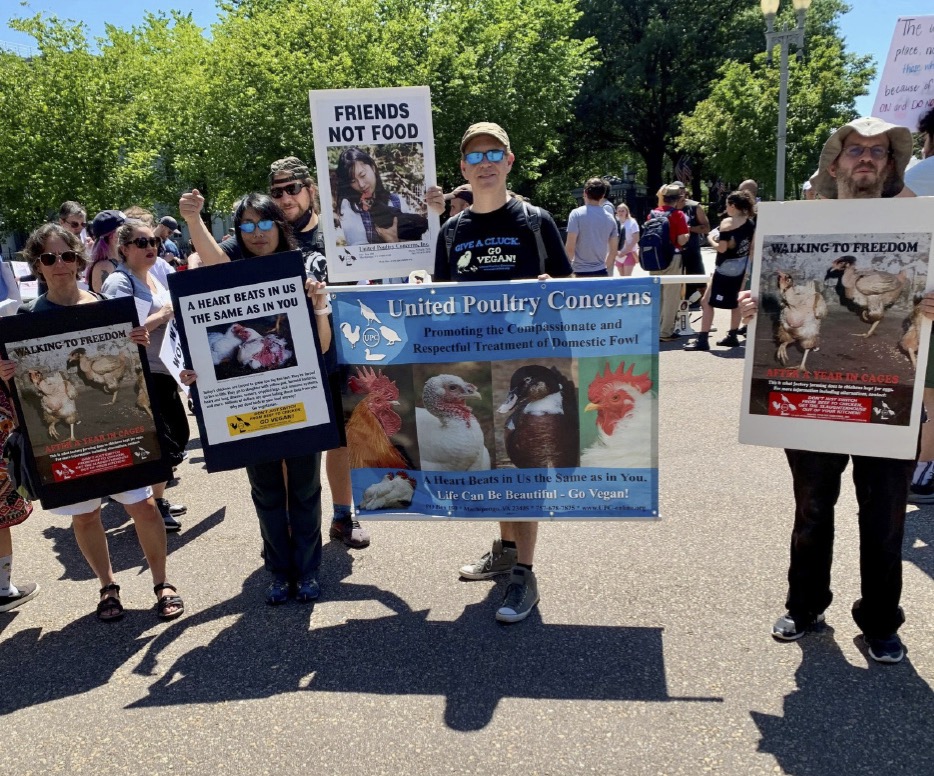 The Animal Liberation March, DC