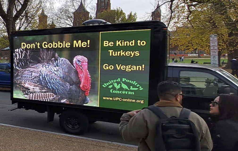 Dont Gobble Me Truck on the Mall