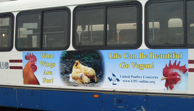 2011 Bus Ad