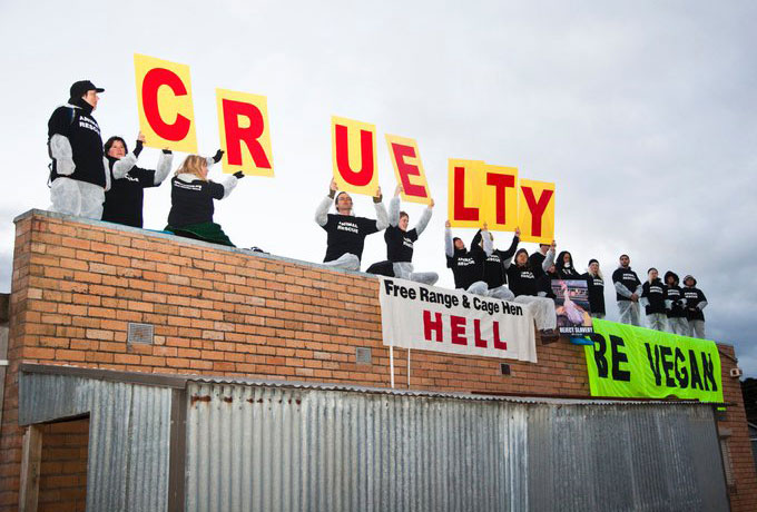 egg farm rooftop protest