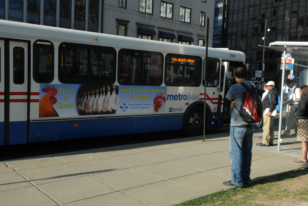 Give a Cluck Ad on Bus