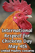 ircd 120x180 banner