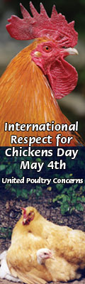 ircd 120x400 banner