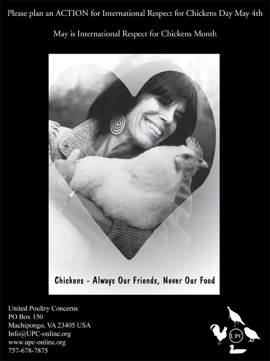 Chickens - Always Our Friends, Never Our Food