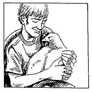 Boy with hen drawing