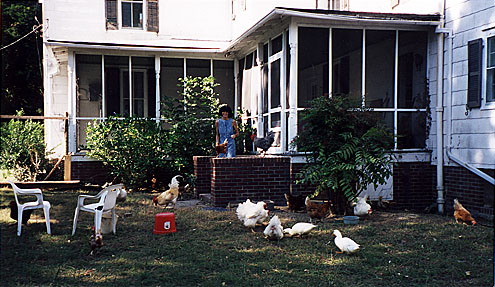 Karen and Birds