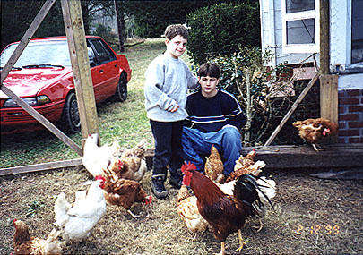 Taylor and Bradley 2