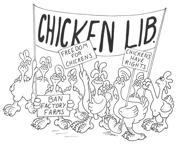 Chicken Lib