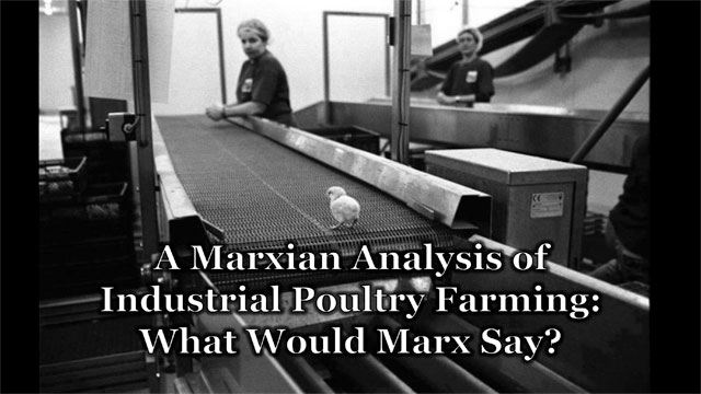 marxian analysis poultry farming