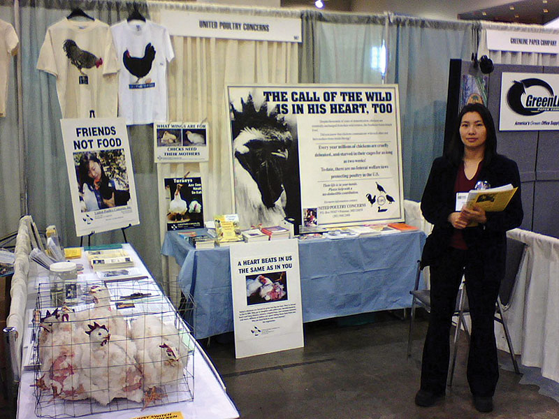 Liqin Cao at Green Festival