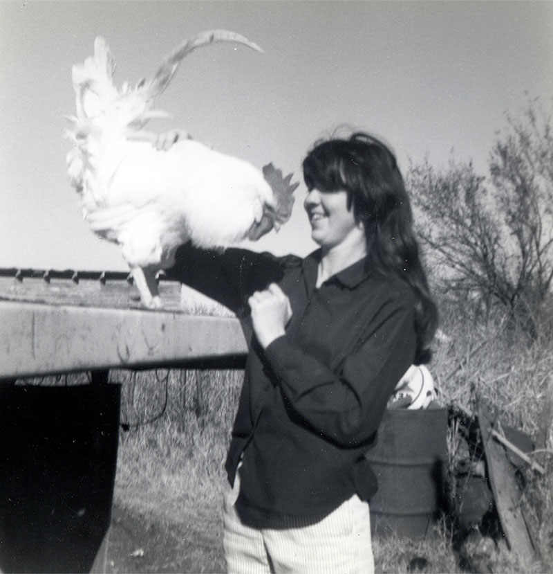 Barbara and Wonder Chicken