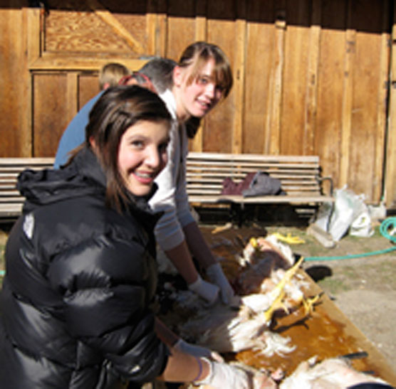 Community School Chicken Kill (2)