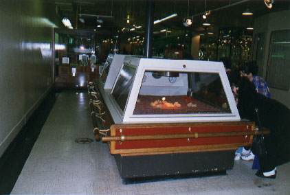 Chicago Hatch2