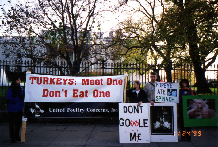 UPC Protests White House Turkey Pardoning 2
