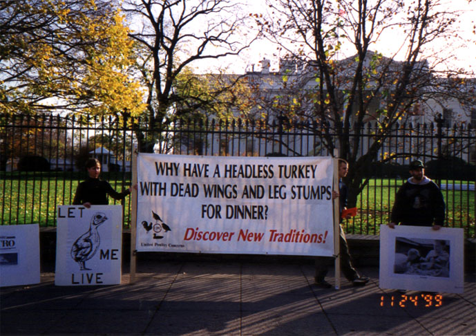 UPC Protest White House Turkey Pardoning 2