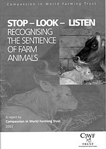 Stop - Look - Listen